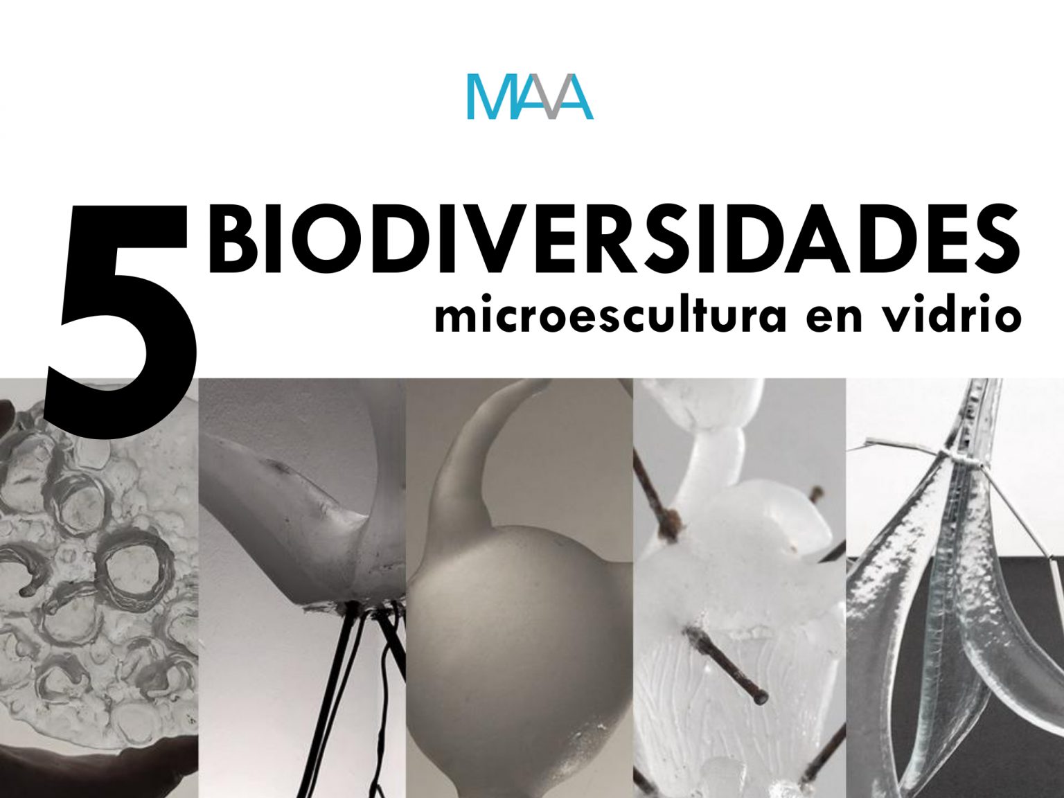 cartel biodiversidades