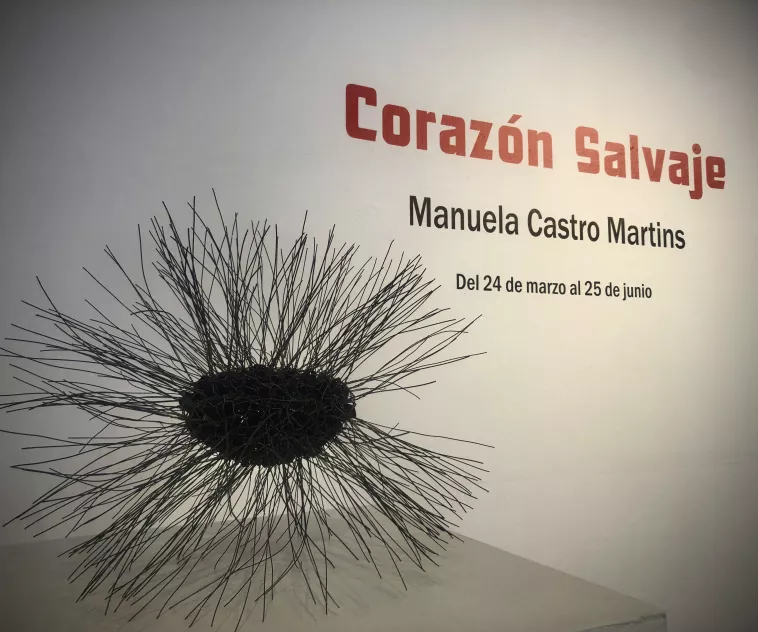 corazon salvaje