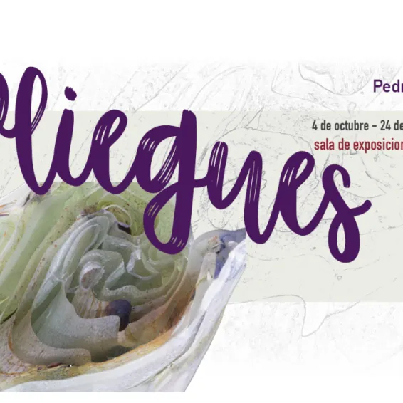 pliegues